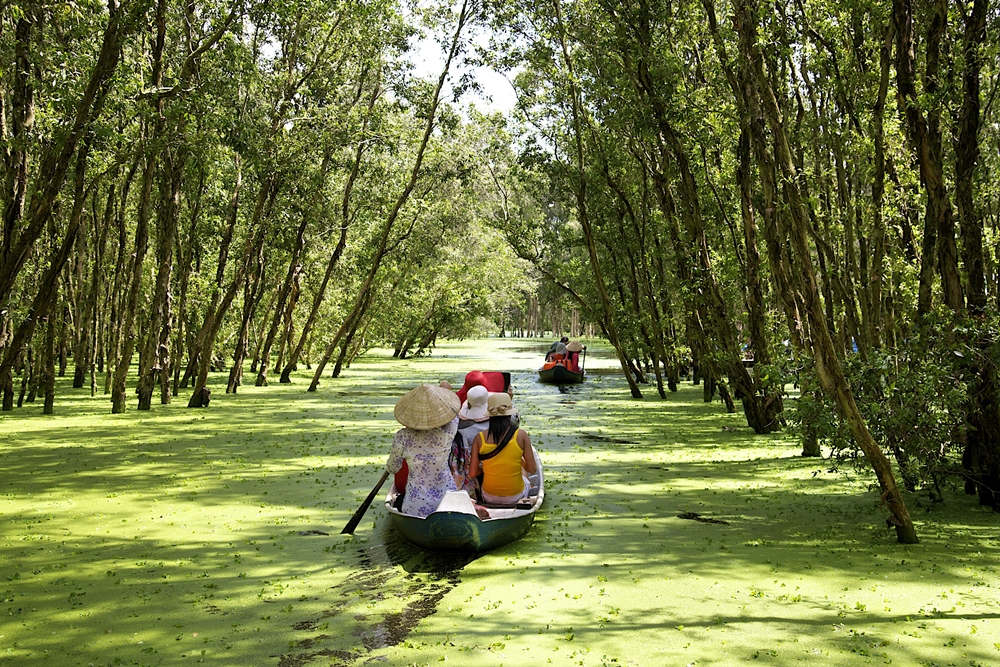 Private Tour: Mekong Delta Day Trip from Ho Chi Minh City
